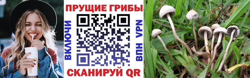 Галлюциногенные грибы GOLDEN TEACHER Новоржев