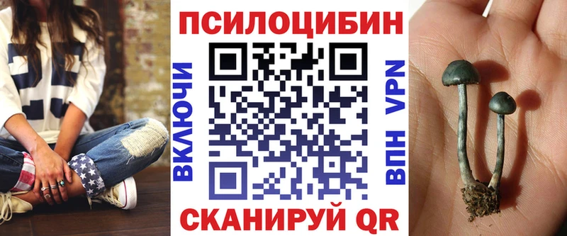 Псилоцибиновые грибы Magic Shrooms  Купить где  Новоржев 